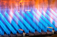 Winnal Common gas fired boilers